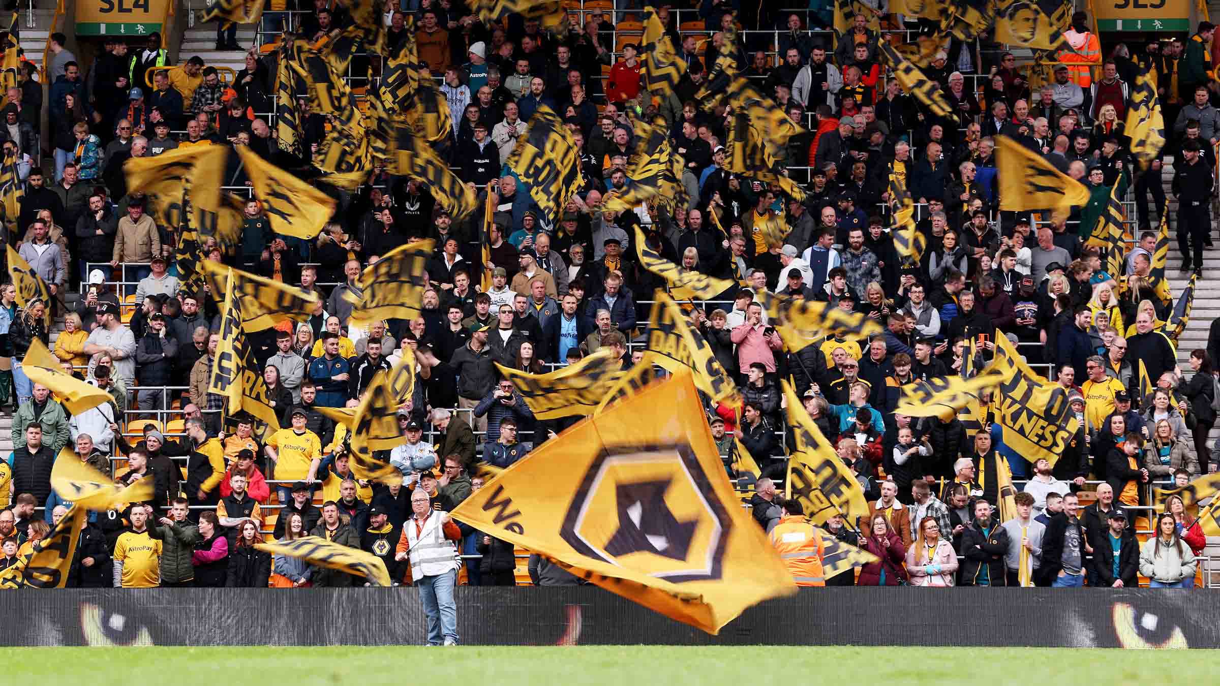 Wolverhampton Wanderers v Cardiff City
